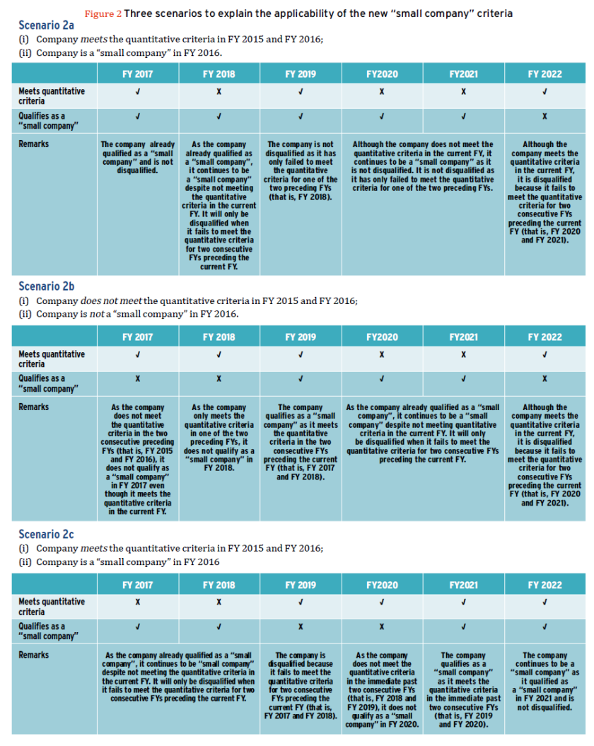 Figure 2 - small company concept for audit exemption